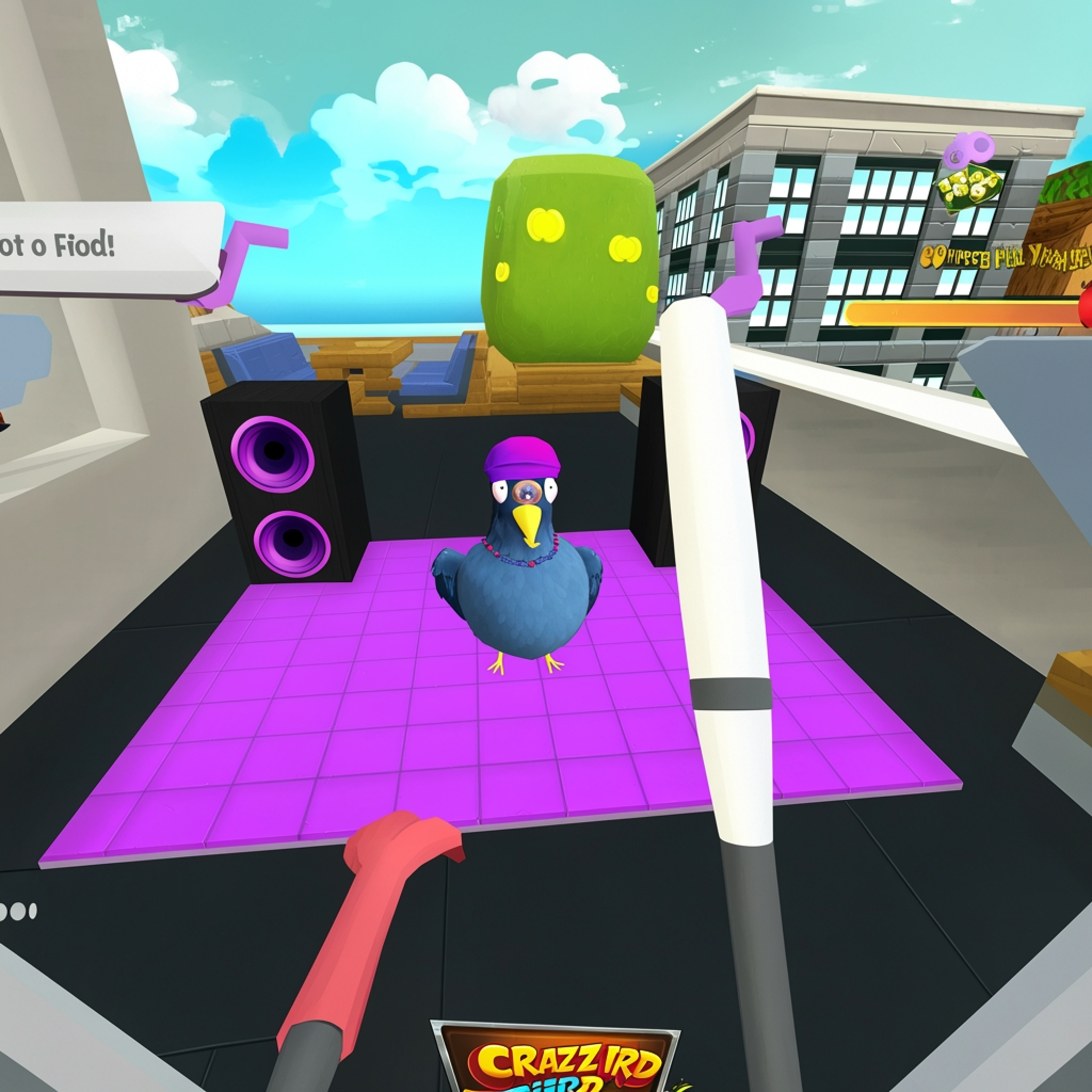 I am Crazy Bird