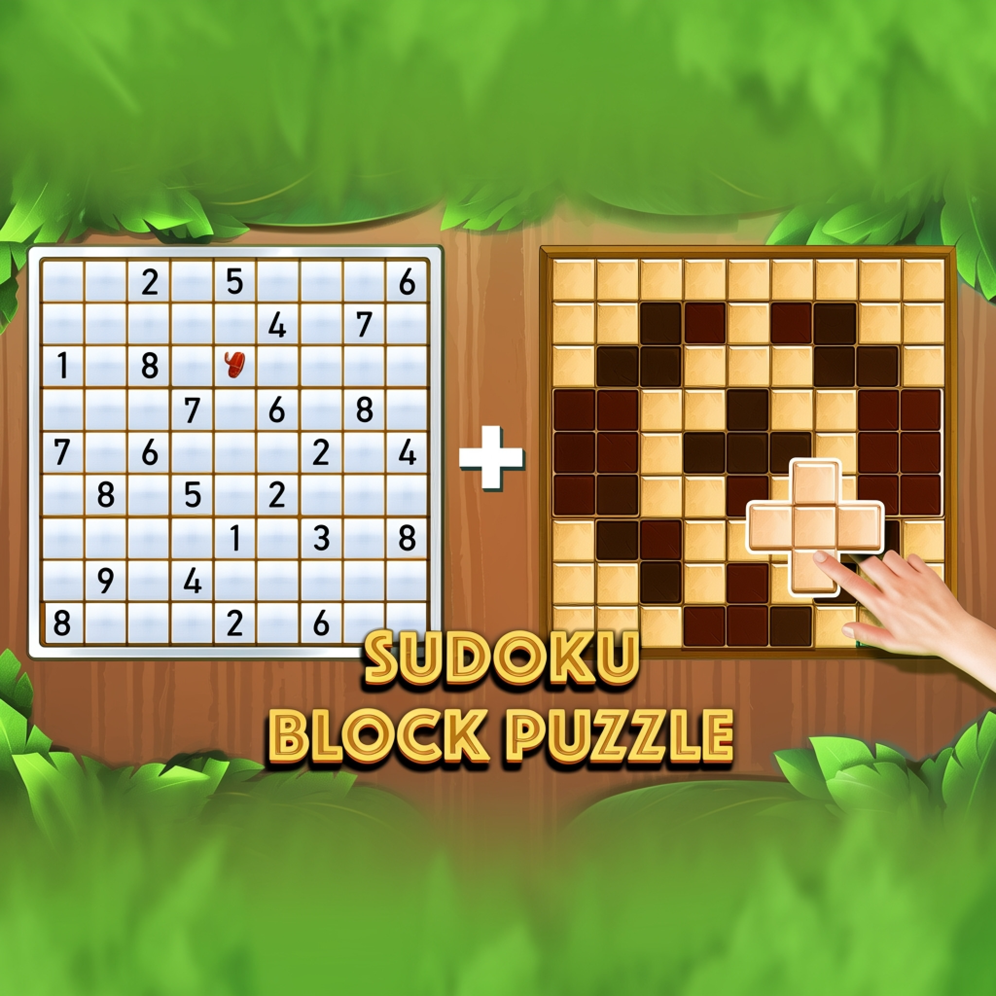 Sudoku Block Puzzle
